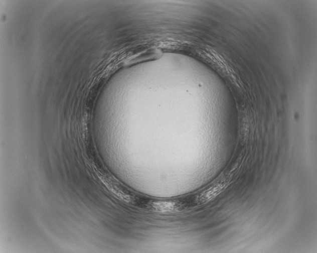 X0000058120265200510171318