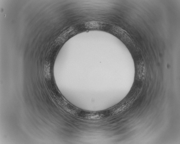 X0000058120267200510171318