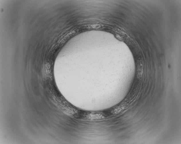 X0000058120270200510171318