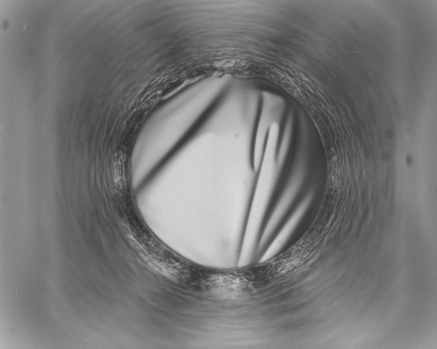 X0000058120272200510171318