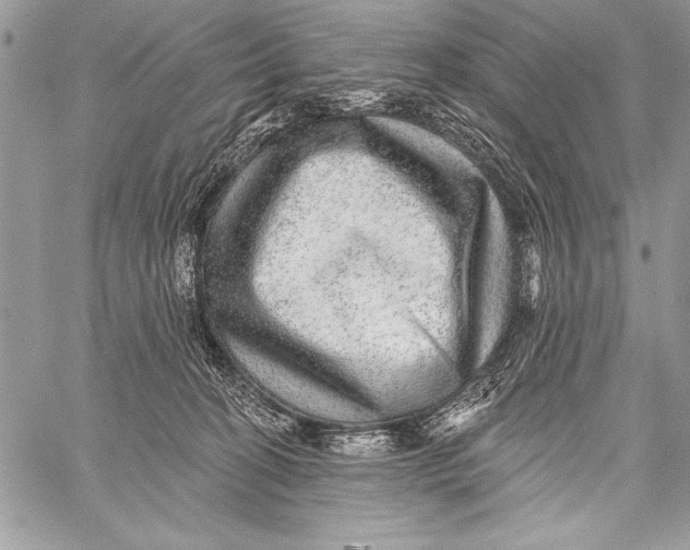 X0000058120274200510171318