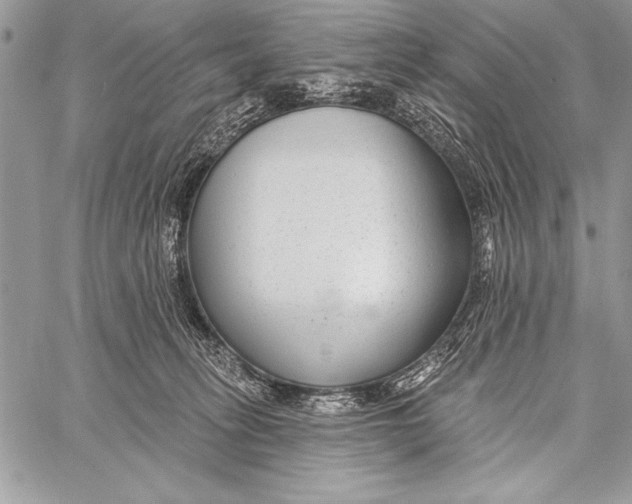 X0000058120275200510171318