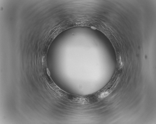 X0000058120276200510171318