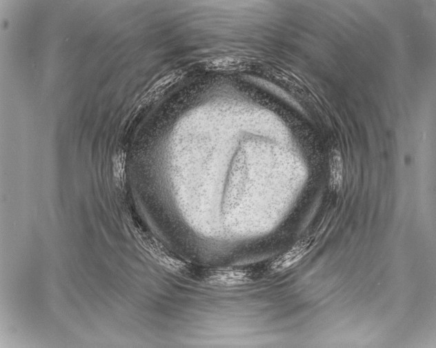 X0000058120278200510171318