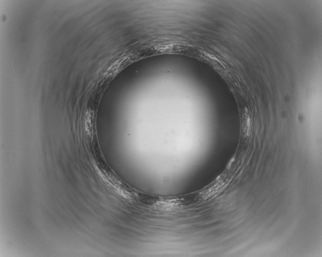 X0000058120280200510171318