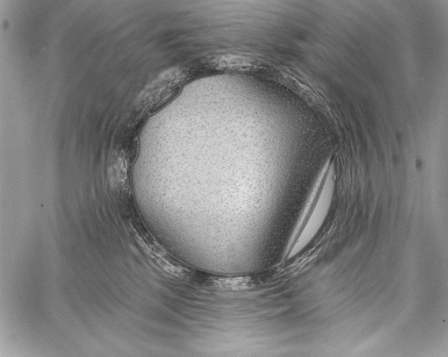 X0000058120281200510171318