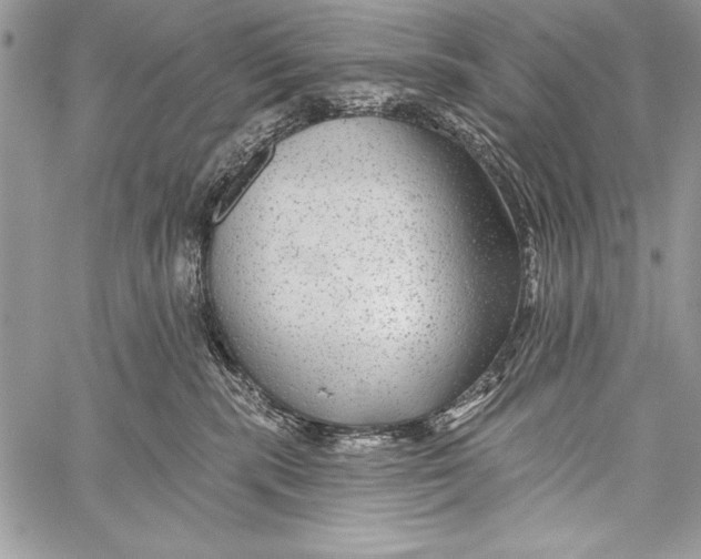 X0000058120283200510171318