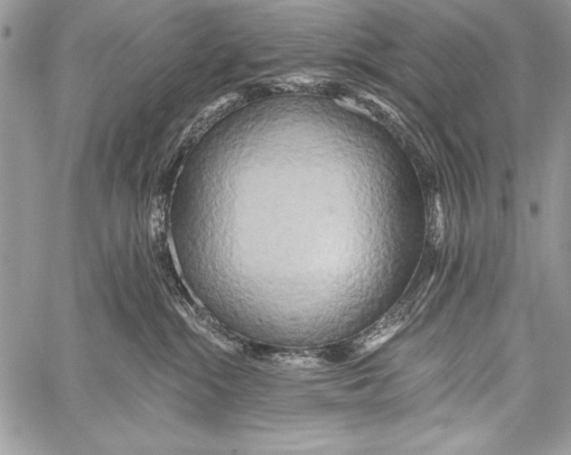 X0000058120284200510171318