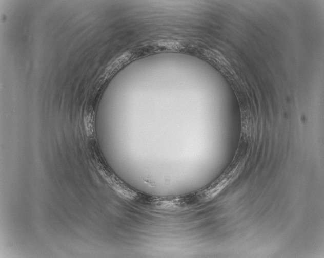 X0000058120285200510171318