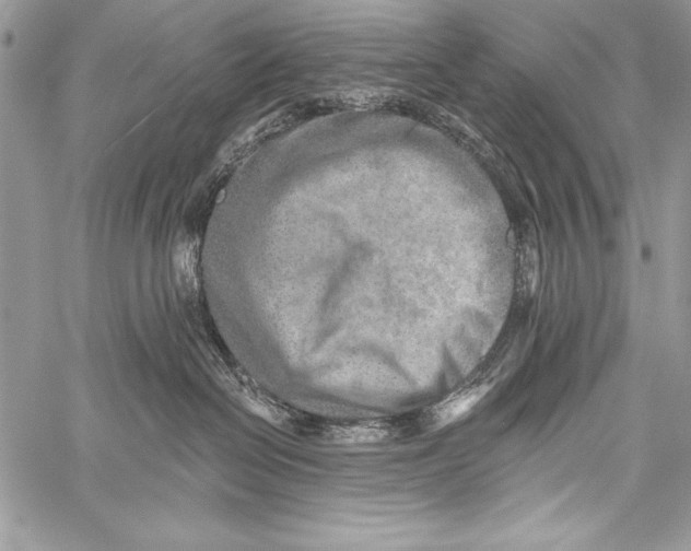 X0000058120286200510171318