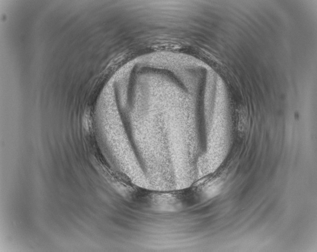 X0000058120287200510171318