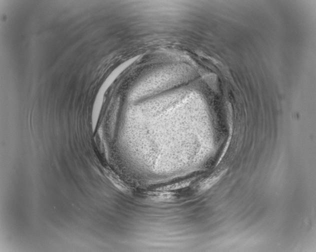 X0000058120288200510171318