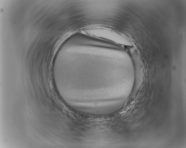 X0000058120289200510171317