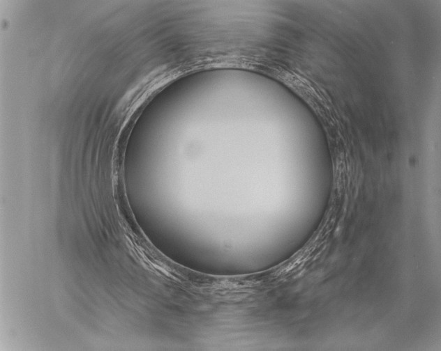 X0000058120290200510171317