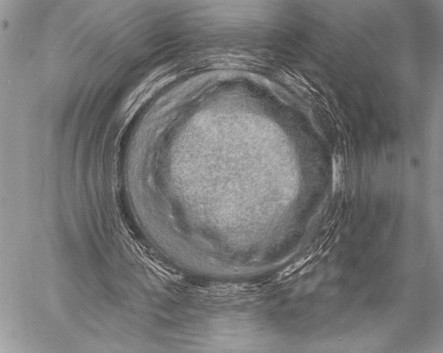 X0000058120291200510171317