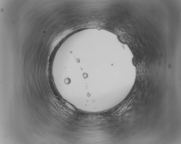 X0000058120292200510171317