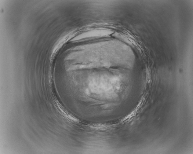 X0000058120293200510171317