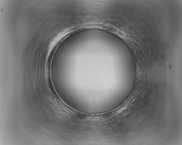 X0000058120294200510171317