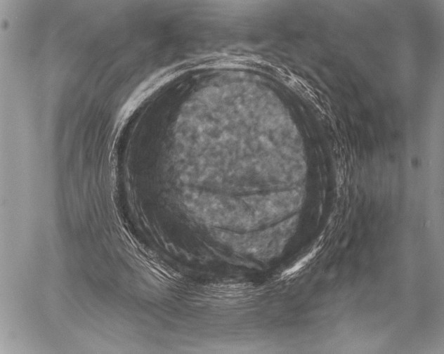 X0000058120295200510171317