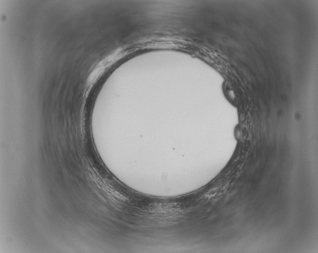 X0000058120296200510171317