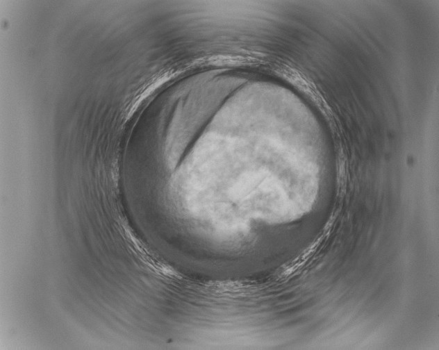 X0000058120297200510171317