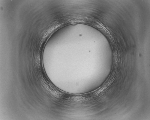 X0000058120298200510171317