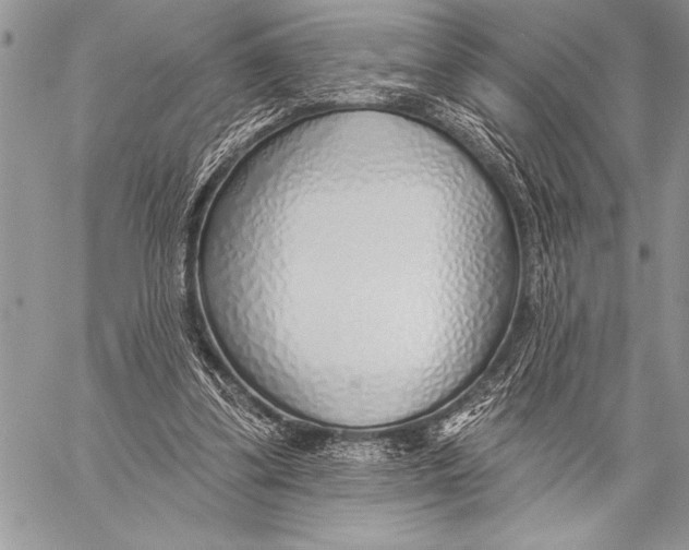 X0000058120299200510171317