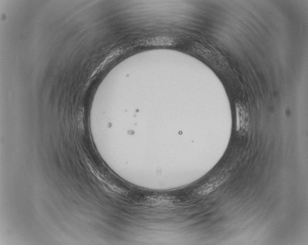 X0000058120300200510171317