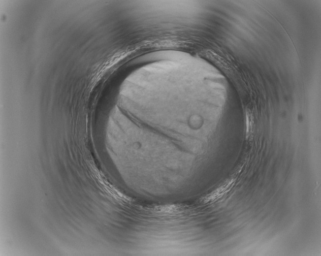 X0000058120301200510171317