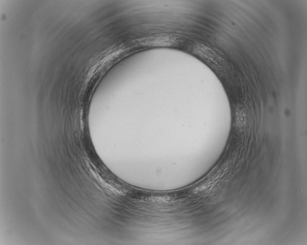 X0000058120302200510171317