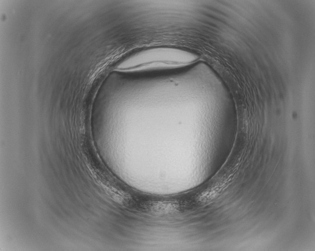 X0000058120303200510171317