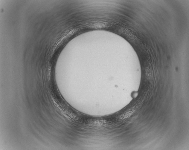 X0000058120304200510171317