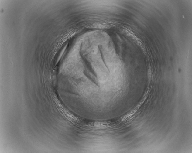 X0000058120305200510171317