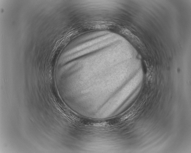 X0000058120306200510171317