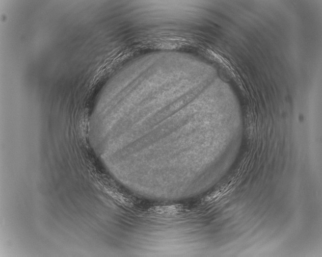 X0000058120307200510171317