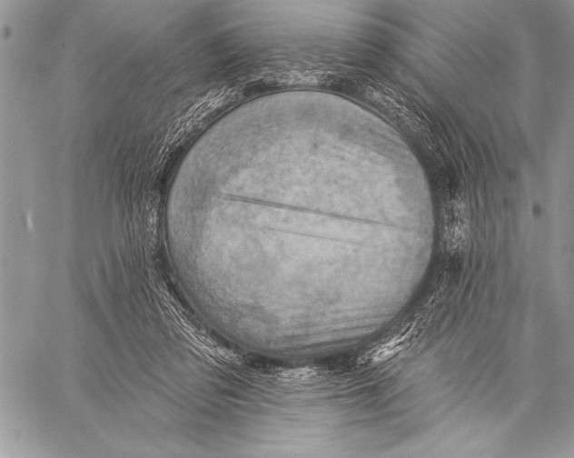 X0000058120309200510171317