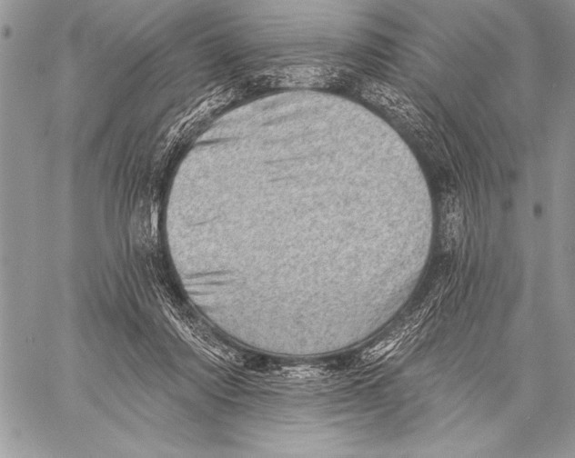 X0000058120310200510171317