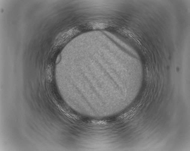 X0000058120311200510171317