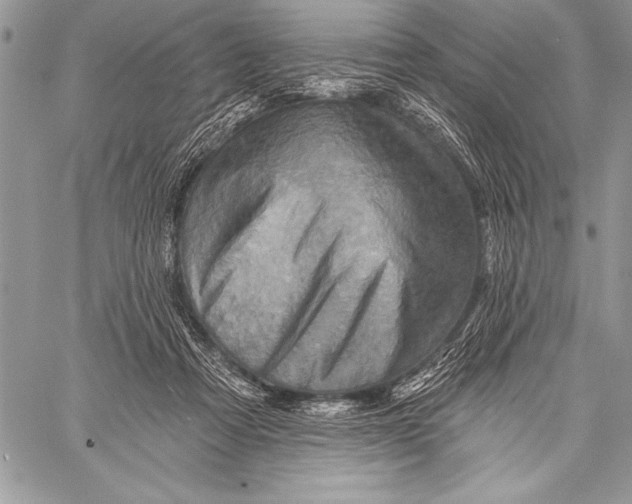 X0000058120313200510171317