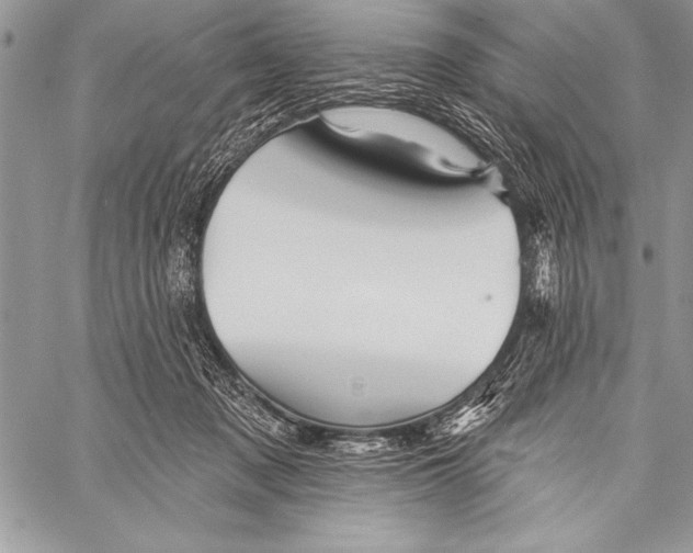 X0000058120317200510171317