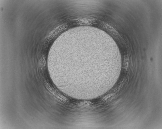 X0000058120318200510171317