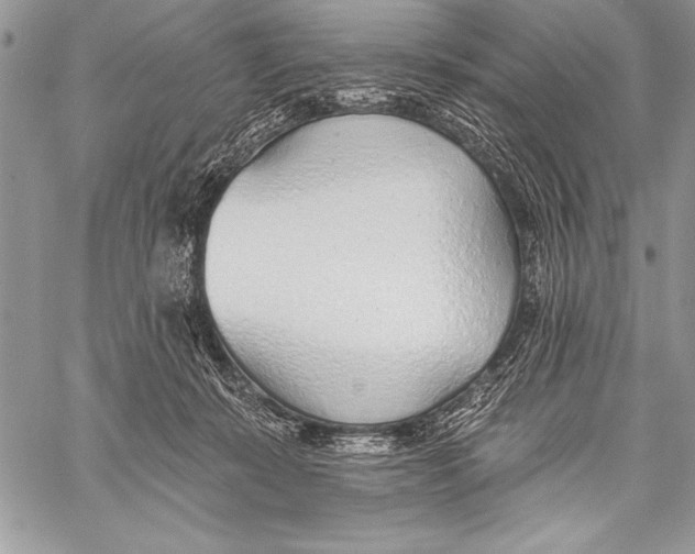 X0000058120319200510171317