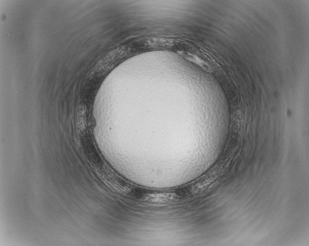 X0000058120323200510171317