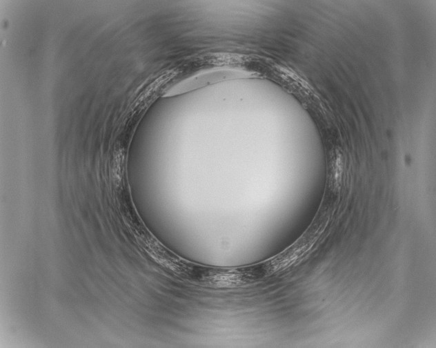 X0000058120325200510171317