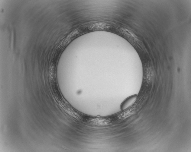 X0000058120326200510171317