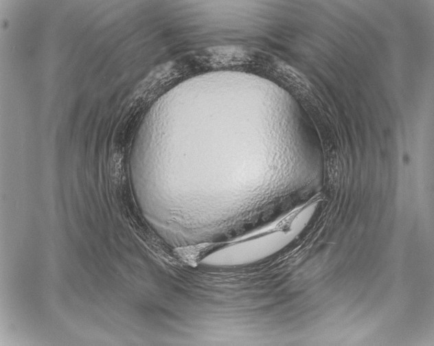 X0000058120327200510171317