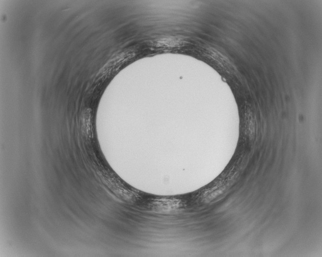 X0000058120328200510171317