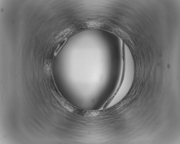 X0000058120329200510171317