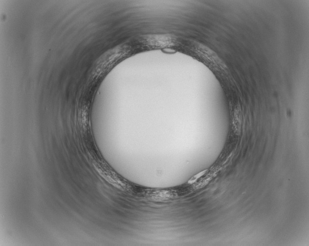 X0000058120330200510171317