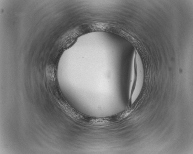 X0000058120331200510171317